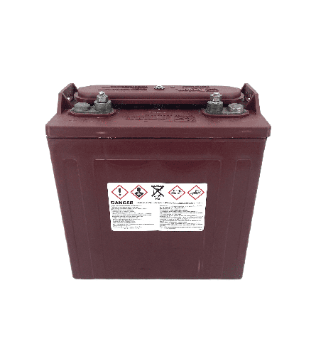 Batterie Trojan T875 8V 170Ah